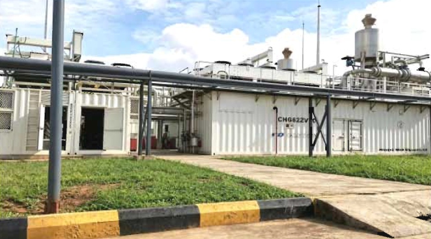 Nigeria plant